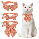 Coleira para gatos DILLYBUD Thanksgiving Breakaway, pacote com 2 unidades, laranja