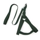 Coleira Peitoral Ajustável com Guia Reforçada para Cachorro Porte Médio e Grande Passeio Seguro Coleira Peitoral Ajustável com Guia Reforçada para Cachorro Porte Médio e Grande Passeio Seguro