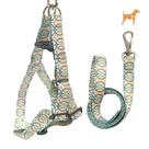 Coleira Peitoral Americano com Guia para Cachorro Raças Pequenas e Médias estampa Argolas Coleira Peitoral Americano com Guia para Cachorro Raças Pequenas e Médias estampa Argolas