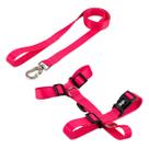Coleira Peitoral Com Guia Para Cachorro Cães Basic Pet Coleira Peitoral Com Guia Para Cachorro Cães Basic Pet