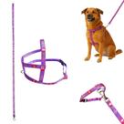 Coleira Peitoral Guia Cachorro Dog Pet Gato Cães Passeio