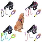 Coleira Peitoral Refletiva Reforçada Pet + Guia Cão Cachorro Porte Médio E Grande