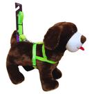 Coleira Peitoral Tradicional de Seda Neon 15mm para Cachorro Nicapet Verde nº 1