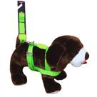 Coleira Peitoral Tradicional de Seda Neon 25mm para Cachorro Nicapet Verde nº 7