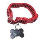Coleira Pet Nylon Ajustável Tamanho M para Cães Médios Shih Tzu, Poodle, Beagle, Cocker, Schnauzer Infinity Pet Brasil C