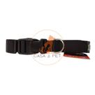 Coleira Pet P/ Cães E Gatos C/ Led Passeio Noturno 2,5Cm