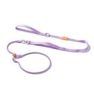 Coleira Slip Lead para cães HOWGO Lightweight Dog Training Lavanda