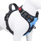 Colete ajustável refletivo PHOEPET para cães Baby Blue M