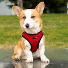 Colete de arnês Mr. Peanut's PupTrek para cães e gatos pequenos (vermelho)