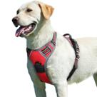 Colete de serviço Eagloo No Pull Dog Harness Reflective Red L Colete de serviço Eagloo No Pull Dog Harness Reflective Red L
