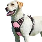 Colete de serviço Eagloo No Pull para cães, rosa reflexivo, L Colete de serviço Eagloo No Pull para cães, rosa reflexivo, L