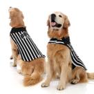 Colete para Cachorros Alvi Negro Colete para Cachorros Alvi Negro