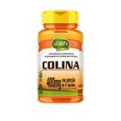 Colina Vitamina B8 Unilife 400mg 60 cápsulas