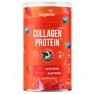 Collagen Protein Grass Fed Balance 28g Proteína Colágeno Premium Pepcol Frutas Vermelhas 560g Bigens