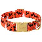 Collar para Perro con Diseño Único de Patas y Hebilla de Metal para Otoño e Invierno