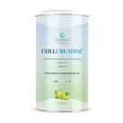 Collcreatine Colágeno Vit C Central Nutrition 500g Limão