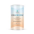 Collcreatine com colágeno 500g Central Nutrition