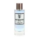 Colônia Diane Castel Silver Wolf 100ml Woody Citrus Masculino