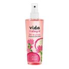 Colônia Splash Vida + Alegre Flor de Pitaya 250Ml Jequiti (novo) Colônia Splash Vida + Alegre Flor de Pitaya 250Ml Jequiti (novo)