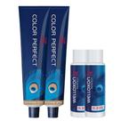 Color Perfect Coloração 2x 9/0 Louro Extra + 2 Ox 30 Vol Color Perfect Coloração 2x 9/0 Louro Extra + 2 Ox 30 Vol
