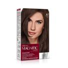 Coloração Creme Amend Magnific Color Chocolate 6.7