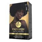 Coloração Creme Permanente Excllusiv Color Pratic Preto 2.0 Haskell