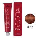 Coloração Schwarzkopf Igora 6-77 Louro Escuro Cobre Extra