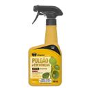 Combate Mata Elimina Eficaz Contra PuLGão Cochonilha 500ml
