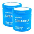 Combo 2 Creatinas Pura Monohidratada Pote 300g - Probiótica Combo 2 Creatinas Pura Monohidratada Pote 300g - Probiótica