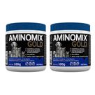Combo 2 unidades Aminomix Gold Complexo Vitamínico - 100 g