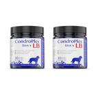 Combo 2 Unidades Condroplex LB Sticks 30 Bastões 630g sup Cães - Avert