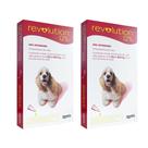 Combo 2 unidades Revolution Cães 10 a 20 kg - 12% 1 ml cx 3 unidades