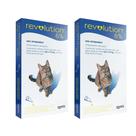 Combo 2 unidades Revolution Gatos 2,5 a 7,5 kg - 6% 0,75 ml cx. c/ 3