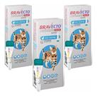 Combo 3 Bravecto Plus Gatos Transdermal 2,8 A 6,25kg 250mg