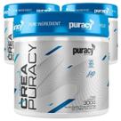Combo 3 Creatina Pura Monohidratada Micronizada 300g Puracy Combo 3 Creatina Pura Monohidratada Micronizada 300g Puracy