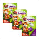 Combo 3 Graminha para Gatos CatDog & Cia - 50g Combo 3 Graminha para Gatos CatDog & Cia - 50g