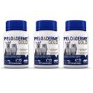 Combo 3 unidades Pelo e Derme Gold Suplemento Vetnil - 60 comprimidos