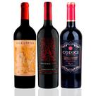 Combo 3 Vinhos Tintos 750ml