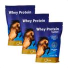 Combo 3 Whey Protein Syntec Suplemento Equinos - 1Kg
