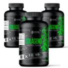 Combo 3x Colágeno Hidrolisado 120 Cáps - Original Nutrition