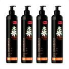 Combo 4 Máscara Tratamento 10 Ibasa 4Groomer - 230g