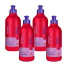 Combo 4 Shampoo Pelo Amor Ibasa para Gatos - 500ml Combo 4 Shampoo Pelo Amor Ibasa para Gatos - 500ml