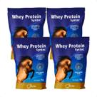 Combo 4 Whey Protein Syntec Suplemento Equinos - 1Kg