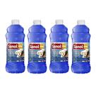 Combo 4un Desinfetante Limpador Eliminador de Odores de Ambiente Casa, Quintal Tradicional 2L Sanol (8 Litros ao todo)