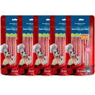 Combo 5 Pacotes Ossinho para Cachorro Palito Fino Deliciosso Frutas Vermelhas 90g