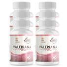 Combo 6 Valeriana Pura 500Mg 60 Cap - Legítimo Calmante