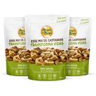 Combo com 3 unidades Mix de Castanhas 100g Pouch Amigos do Bem