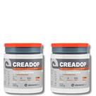 Combo Creatina 100% monohidratada 2 un 300g cada - Elemento Puro - CREADOP