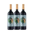 Combo de Vinhos Sem Álcool Despido Tinto Meio Seco - 750mL - Nacional - 03 UN
