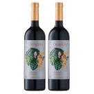 Combo de Vinhos Sem Álcool Despido Tinto Suave - 750mL - Nacional - 02 UN